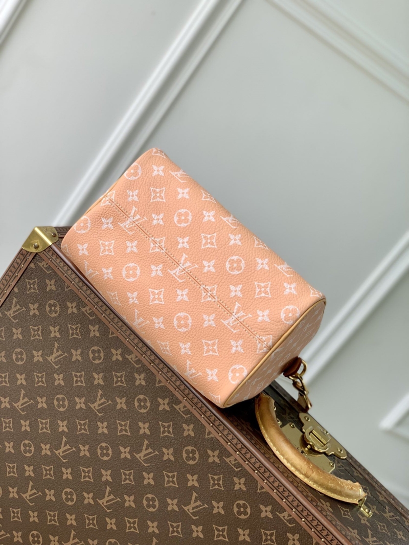 LV Travel Bags